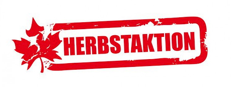 SUZUKI Herbst Angebot